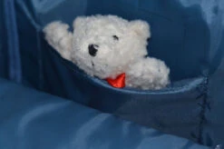 Djeco Eichhörnchen -Schulbedarf 30957