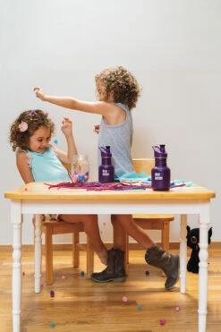 Klean Kanteen Edelstahl Trinkflasche Kid Classic 355 Ml Sport Cap - Grape Jelly Matt (dunkellila) -Schulbedarf 44143