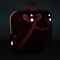 Schulrucksack Topgal BAZI 21003 G -Schulbedarf 48879