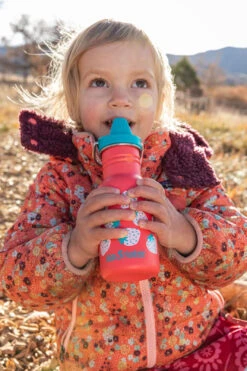 Edelstahl Trinkflasche Klean Kanteen Kid Classic 355ml Sippy Cap - Strawberries -Schulbedarf 57598