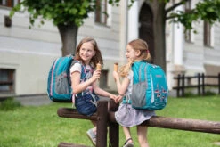 Rucksack BOLL SMART Artwork Collection 24 L Feathers - Teal -Schulbedarf 78934